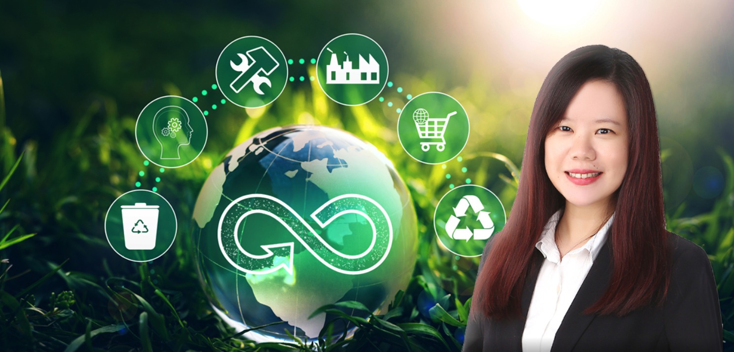 Unveiling The Link Between Circular Economy & Sustainability